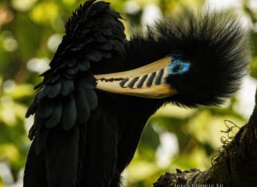 Nature Lover Homestay -Sittong Homestay